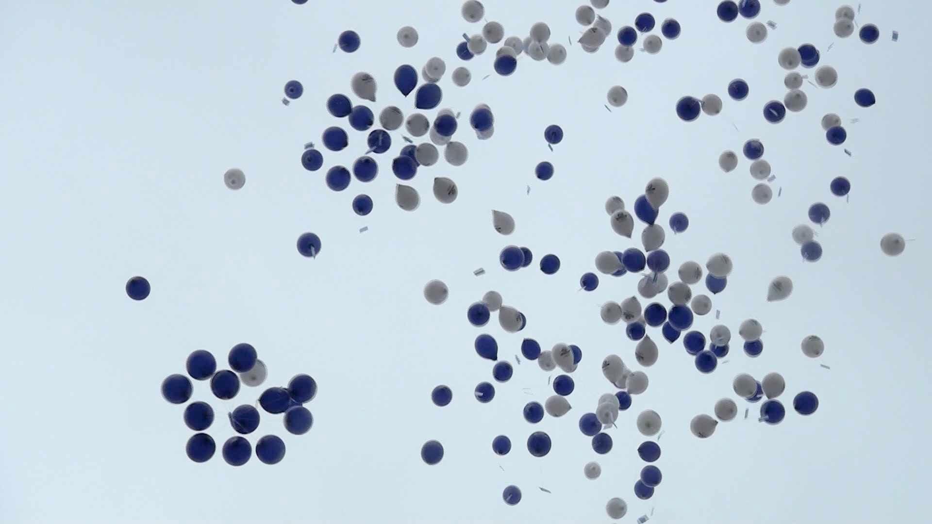 Les lâchers de ballons, ces déchets dont les députés ne veulent plus