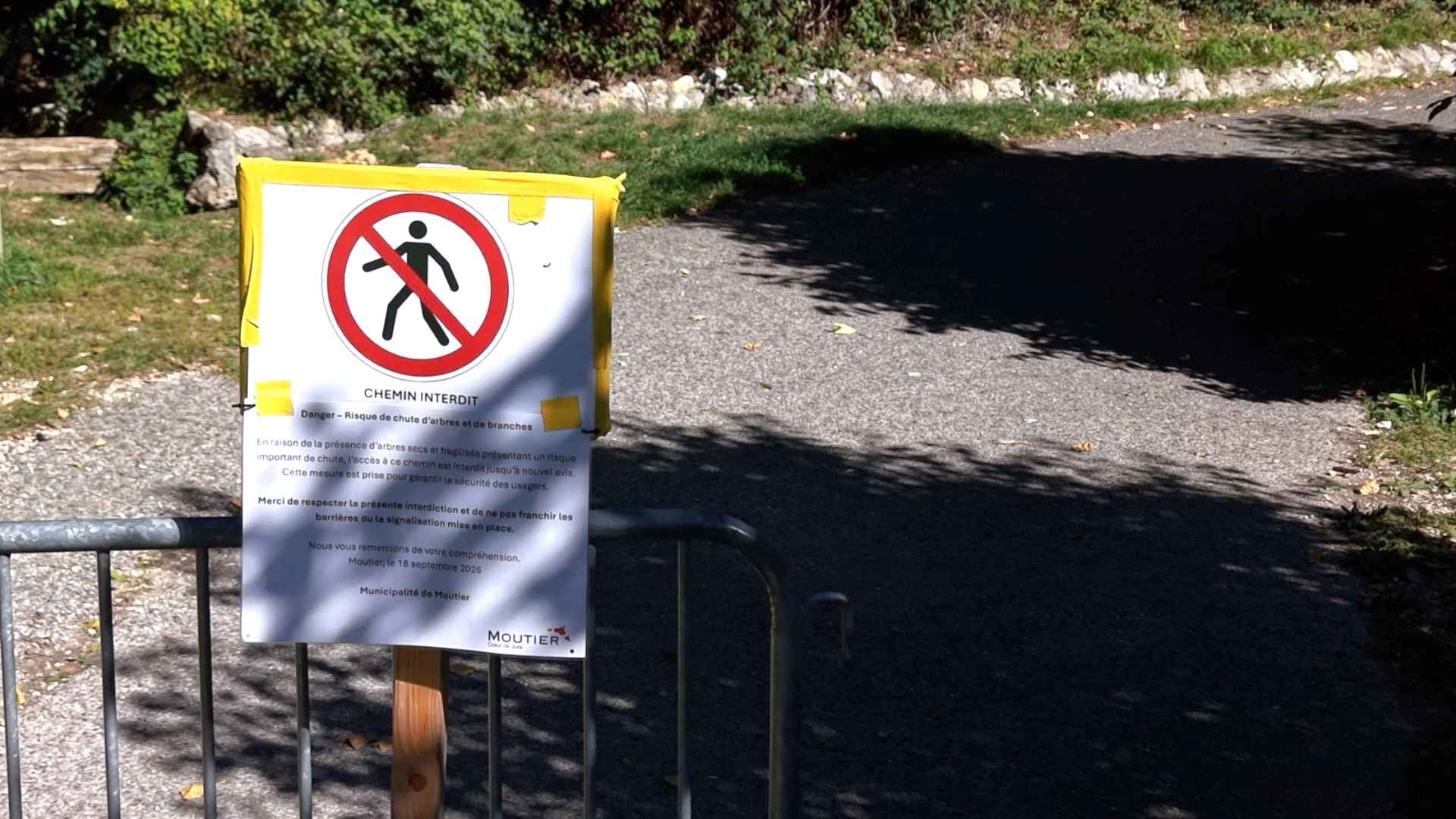 A Moutier, la forêt des Golats interdite d'accès jusqu'à nouvel avis