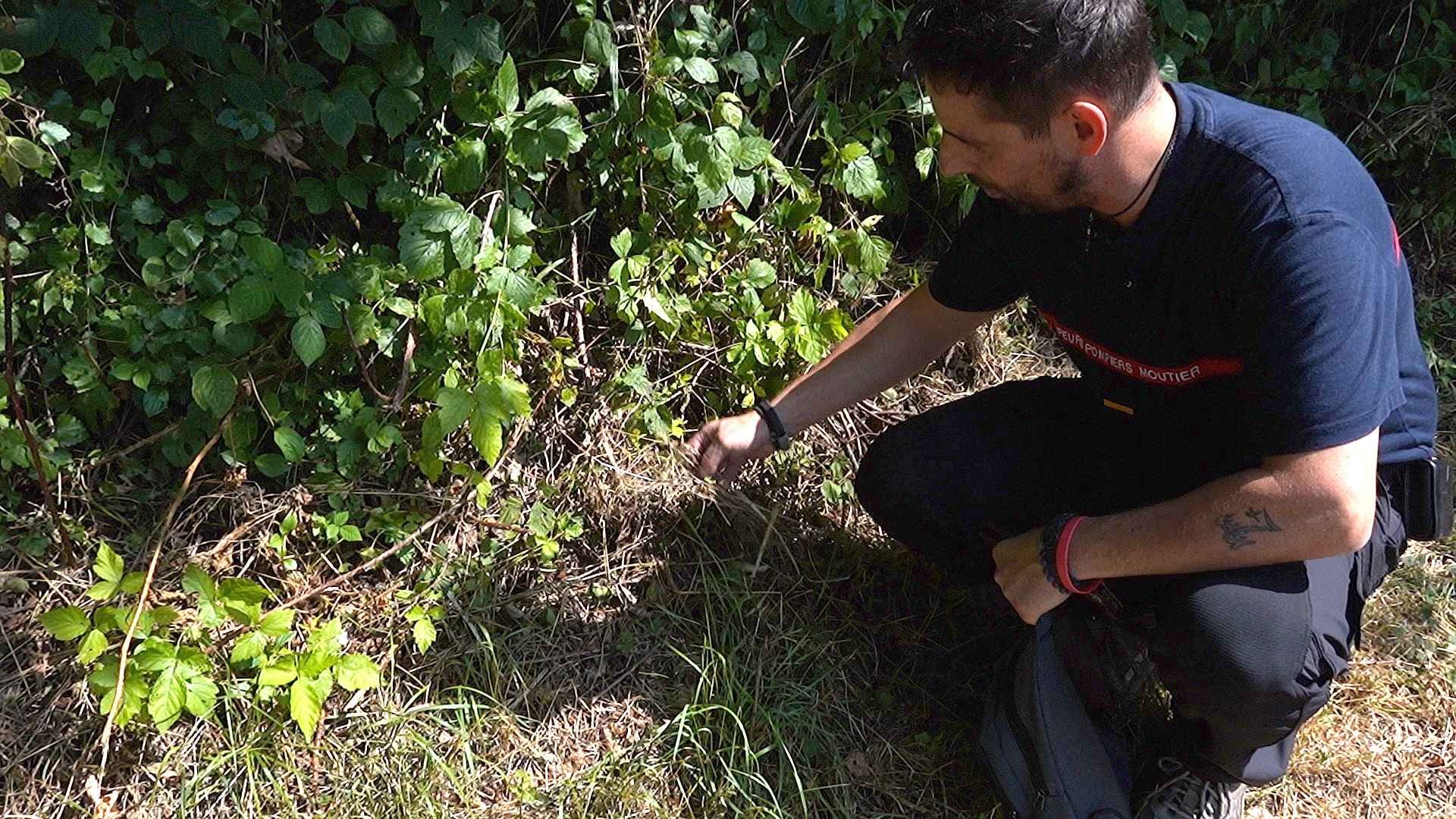 Aucun feu d'artifice dans le Jura, les pompiers soulagés mais aux aguets!