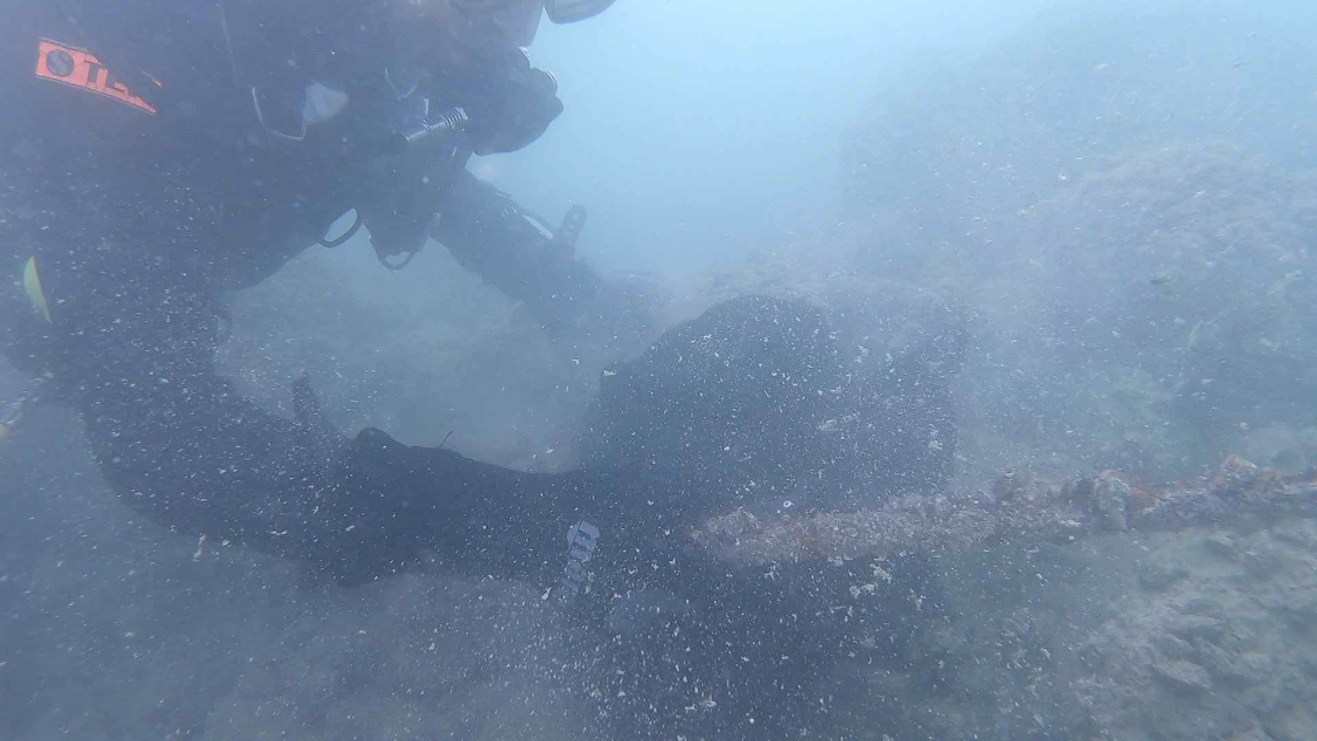Un grand nettoyage du lac à Serrières