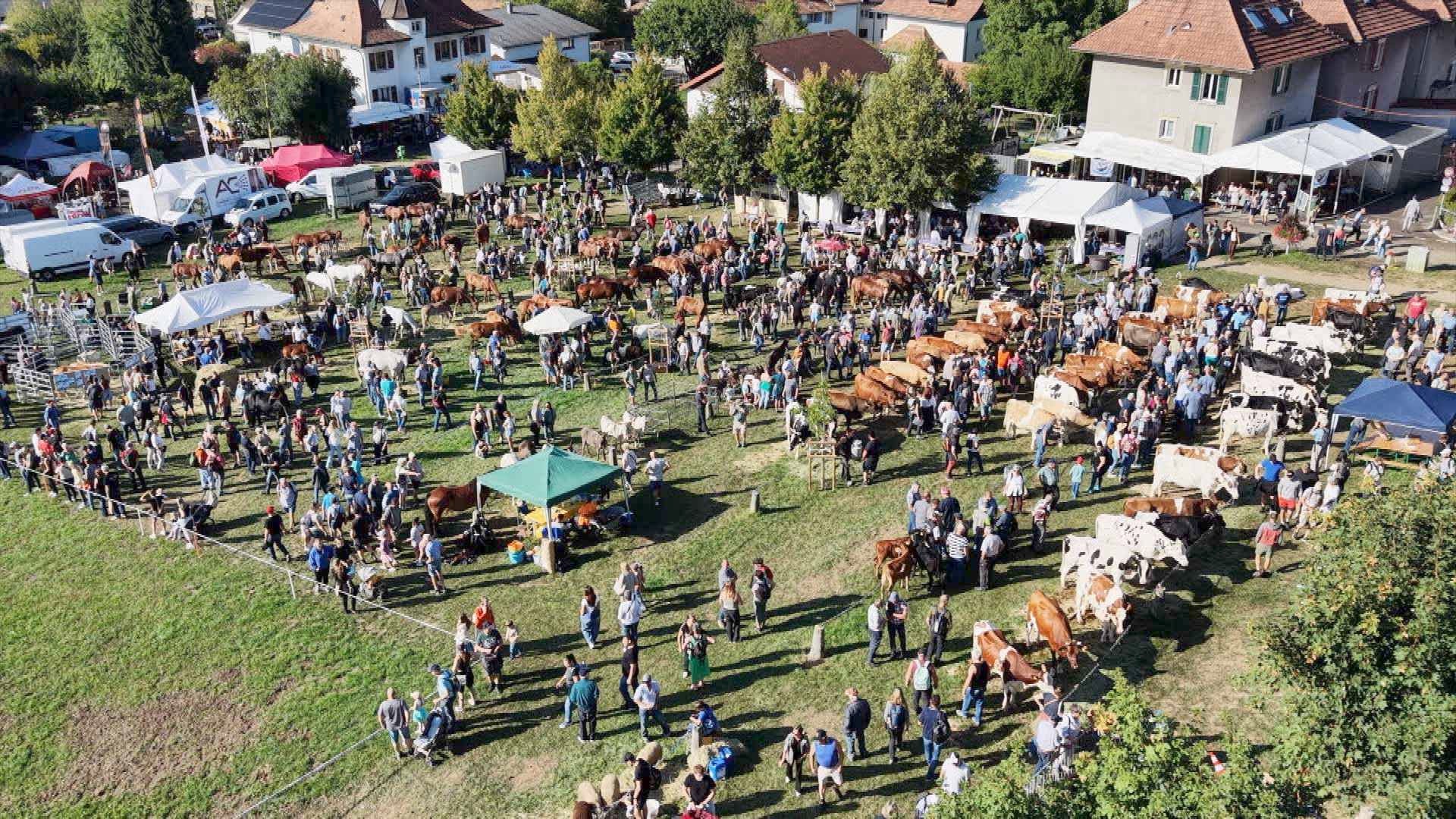 La Foire de Chaindon, carrefour du monde agricole jurassien
