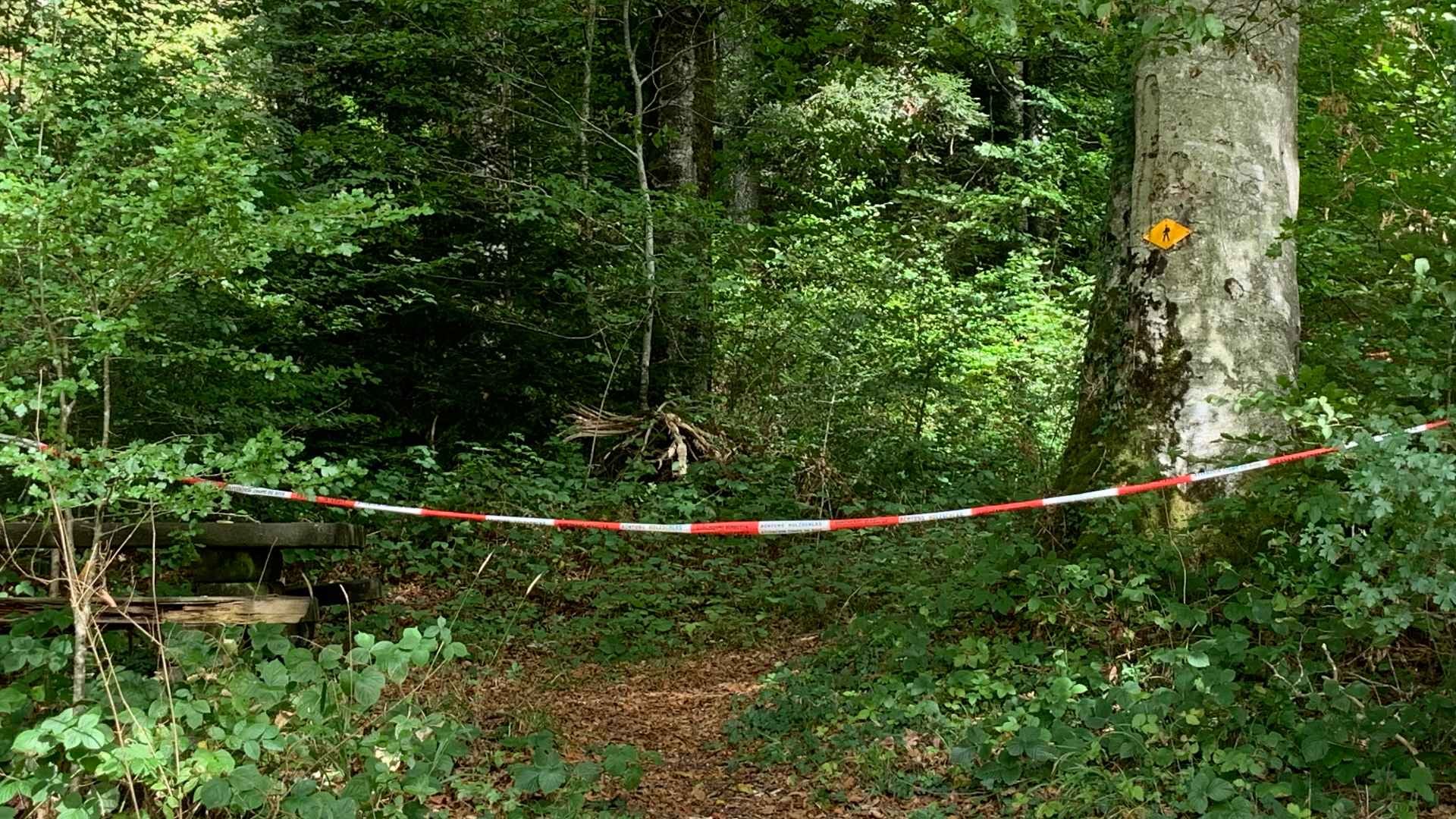 Prudence dans les forêts jurassiennes