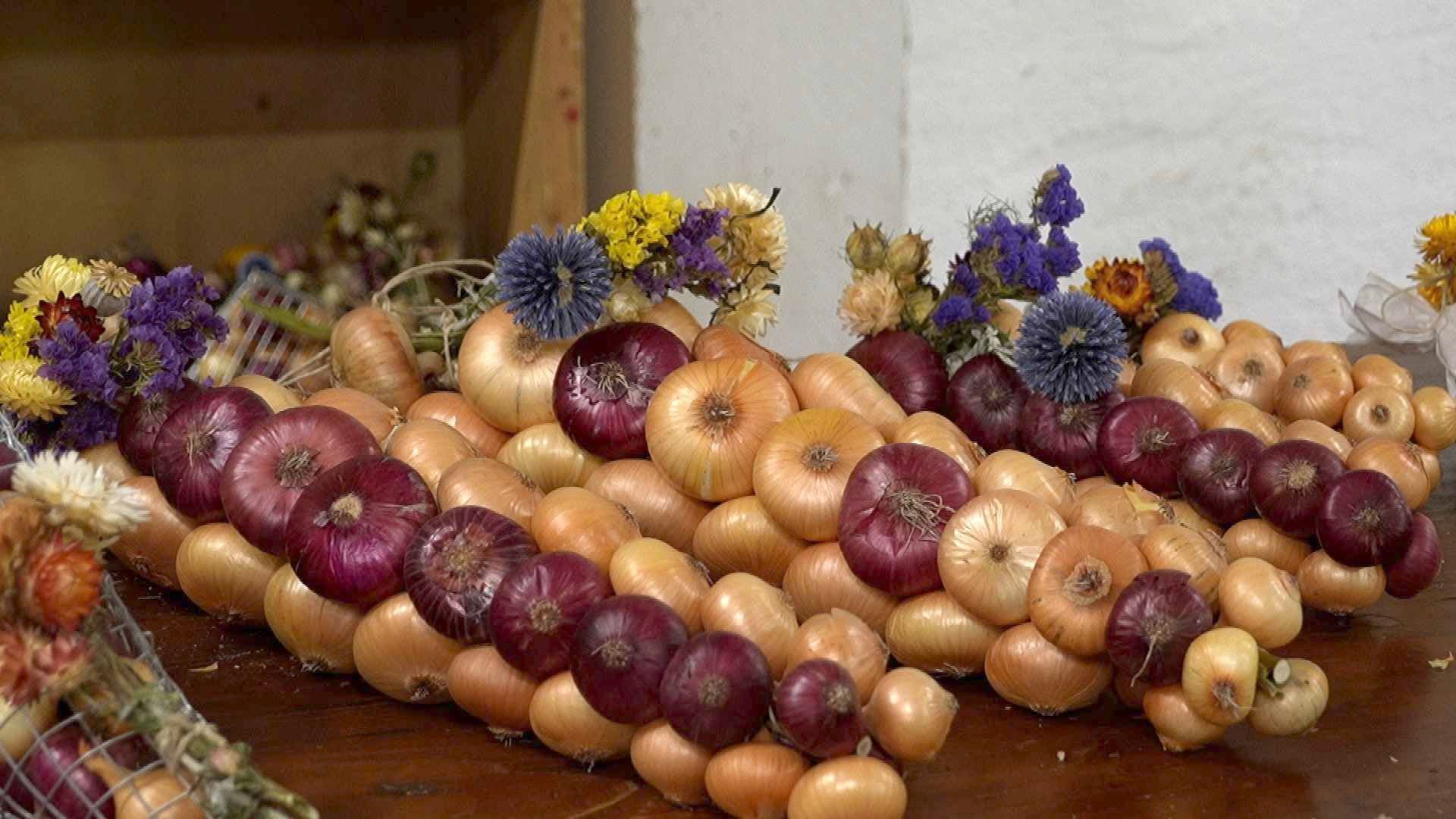 De Vuiteboeuf à la Suisse alémanique, l’oignon tresse sa réputation