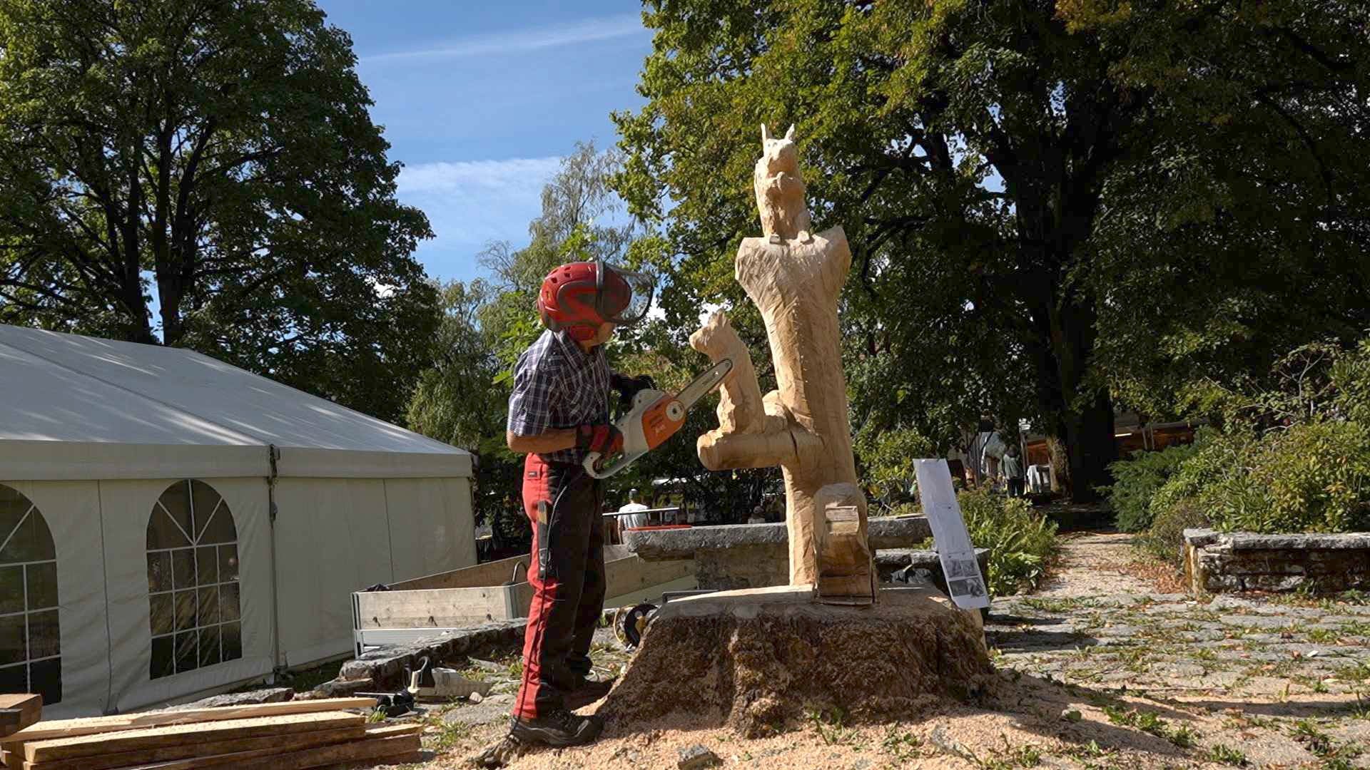 La forêt à l'honneur des 30 ans de "Fête la Terre"
