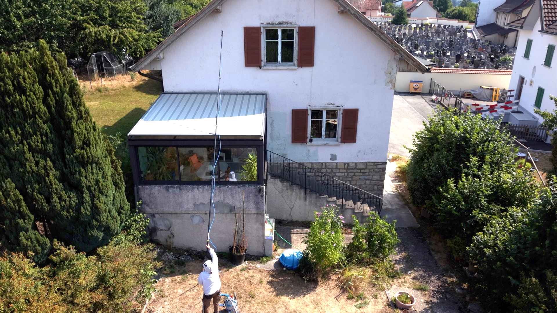 L'âge d'or des guêpes? Pas si sûr, en tout cas pas cette année