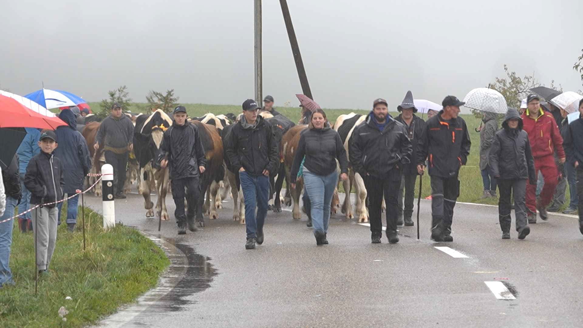 Le cortège de la Désalpe, même sous la pluie !