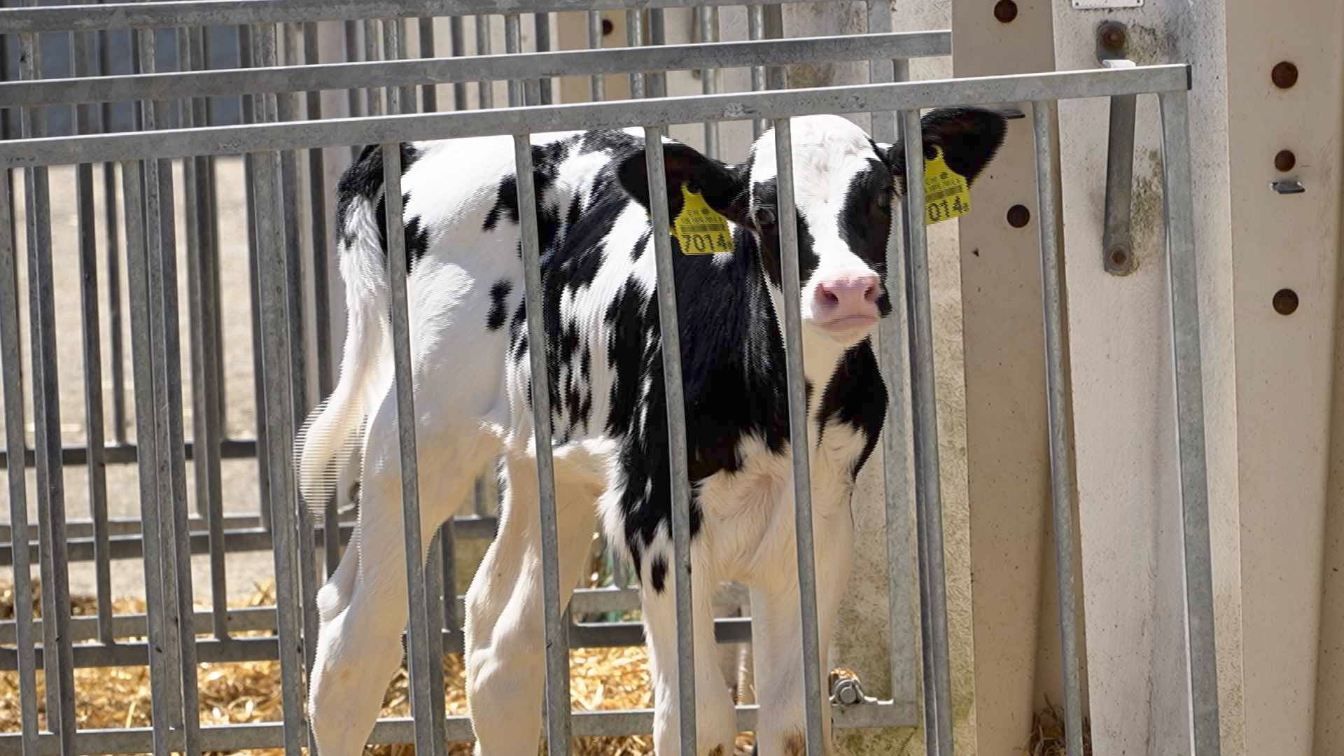 Les agriculteurs qui ont besoin d'investir devront être patients...