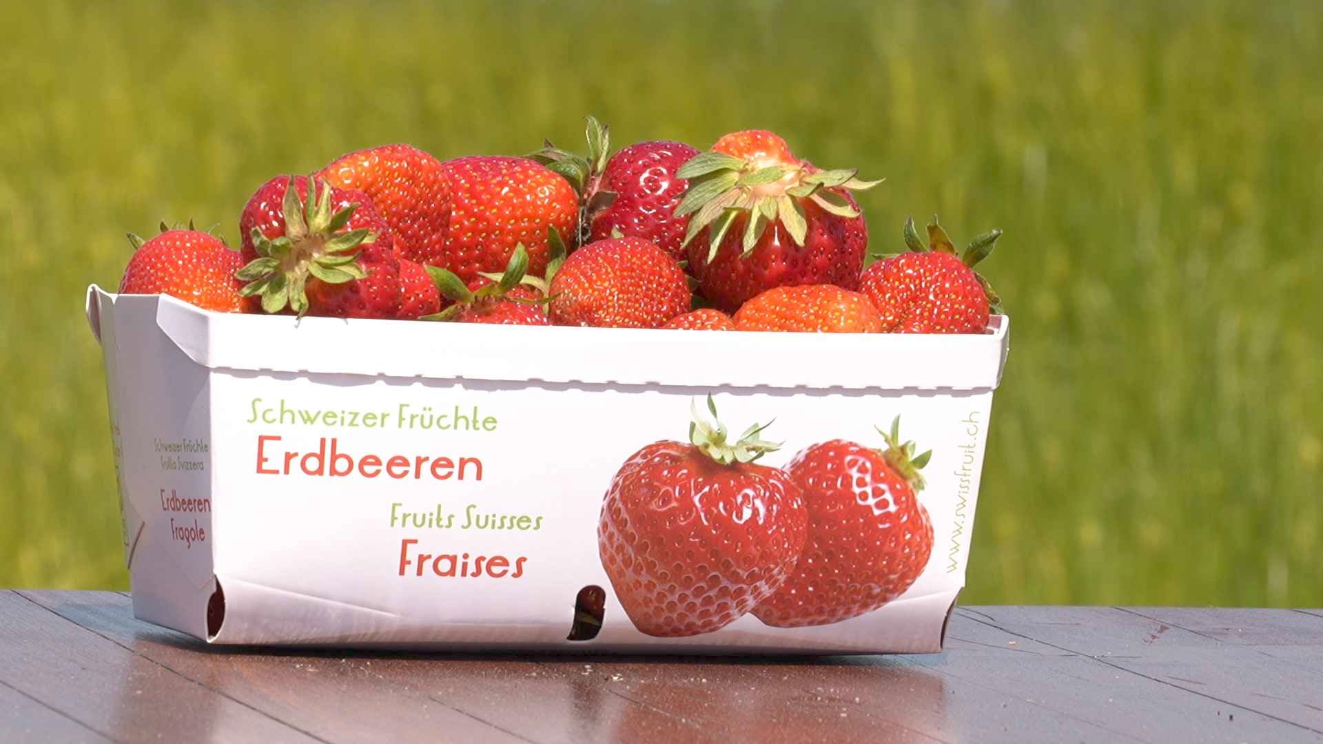 La cueillette de fraises victime de son succès à Wavre