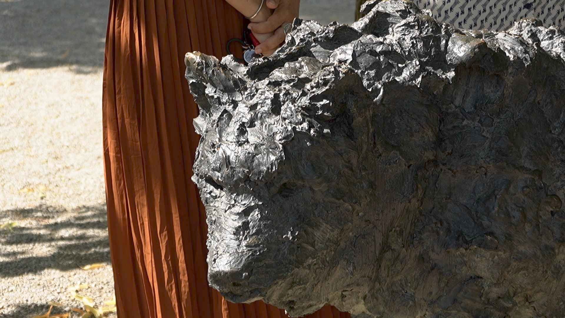 Les Vert·e·s veulent un plan loup commun à l'Arc jurassien