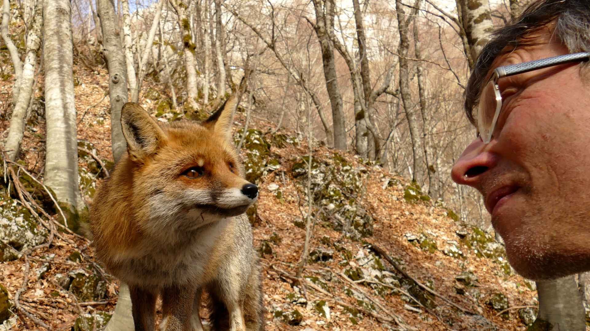 Safari en terres neuchâteloises