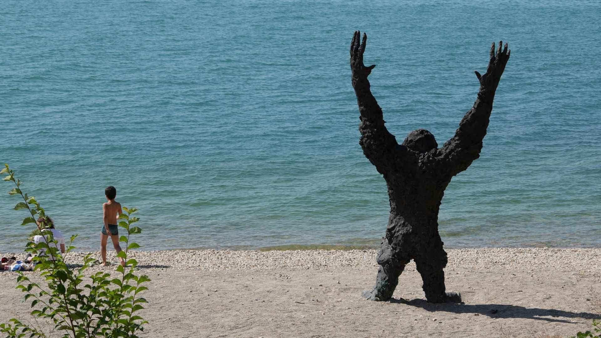 Neuchâtel devient le royaume des grands singes