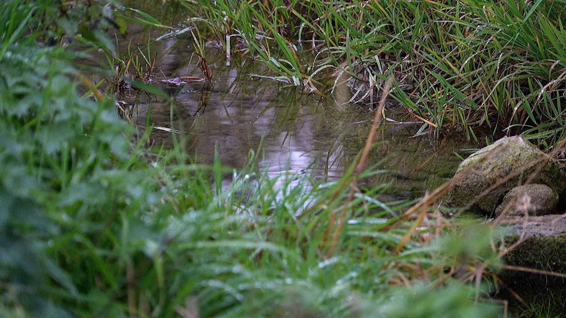 Val-de-Ruz: l'évacuation des eaux de la commune dans le viseur